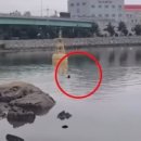 진해구 ⓒ-20 이미지