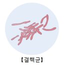 신화메디칼 이미지