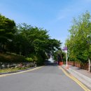 돌산공원 내 도로 이미지