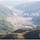 청정신흥마을 이미지