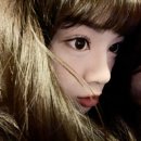 알세루 이미지
