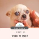 뉴하트동물병원 이미지