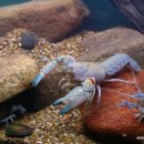 종명농장 이미지