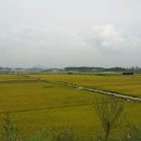 미가공인중개사사무소 이미지