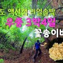 202407 꽃송이버섯 / 우중산행 / 360도 액션캠 리얼솔박 이미지