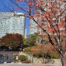 LG1차승리공인중개사사무소 이미지