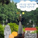 삼도로-L | [제주] 2박 3일 나 혼자 제주 여행 예약&amp;후기 준비 편 📧