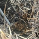 두한농장 이미지