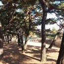 동남운 이미지