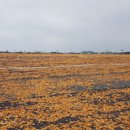 신촌목장 이미지