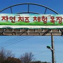 계양산자연치즈