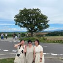 까치울중 건너편 육교밑 | 삿포로 4박 5일 가족여행 셋째 날 일정 : 비에이 버스 투어 (와쿠와쿠 프리미엄버스)