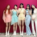 에이프릴펫 이미지