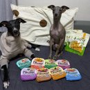 한끼식사 | 듀먼 강아지화식과 동그랑댕으로 구성한 한 끼 식사 후기