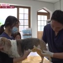 물병원