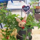 통영에반하다 이미지