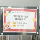 개구리네 이미지