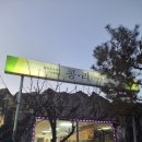 콩리 이미지