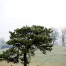 부발목장 이미지