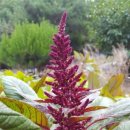 삼안농장 이미지