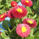 영서로5 이미지