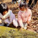 진달래유치원 이미지