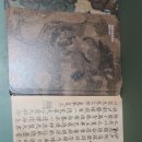 수성다듬이 이미지