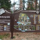 천년의 숲 화장실 이미지