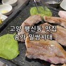 송가 | 고양 행신동 삼겹살 맛집 고기집 추천 송가밀쌈시대 후기