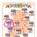 제83차 정기산행 공지 전북 정읍 내장산 단풍 산행(2023.11.05) 이미지