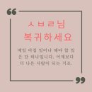 시벨롬] 복귀원해요~~~ 이미지