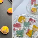 펫인푸드 이미지