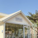 도원운학로 | 원주시 경치 좋고 애견동반 가능한 감성카페 물길로 내돈내산 방문후기!/주차 정보 /주천 카페/영월 카페