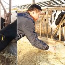 대진목장 이미지