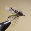 Caddis Pupa 2 이미지