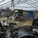 연기119지역대 이미지