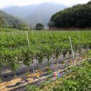 한절농장 이미지