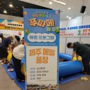 파밍팜 | 제주가볼만한곳 2024 푸파페 제주 : 푸드 파밍 페어 솔직후기