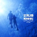 거북이PC(인-465호) | [Activity] ~차탄출발~오키나와 케라마 국립공원으로 스노쿨링 체험