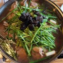 시골오리 이미지