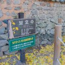 금시당유원지 화장실 | 밀양 금시당 백곡재 은행나무 명소 유원지 실시간 주차 포토존