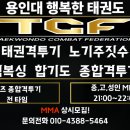 용인대행복한태권도장 이미지