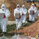 김병곤농장 뉴시스