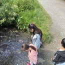 월산목장(2) | [🇬🇧영국여행] 영화 속 콘월 같은 풍경, 틴타겔 마을 탐방(Tintagel)