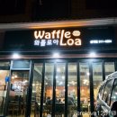 와플로아(Waffle loa) 이미지