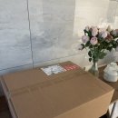 편백나무아래 | [발마사지 추천] "나무도적 국내산 황토볼 5kg 발지압기" 편백나무 발지압 구매 솔직 후기!