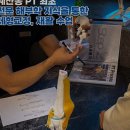 파리바게뜨 인천교대점 | 헬스장 인싸짐 계산점 인천 계양구 계산동 가격 비용 후기 추천