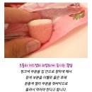 1월 일상