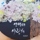 아트샤인 이미지