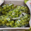 청오농장 이미지